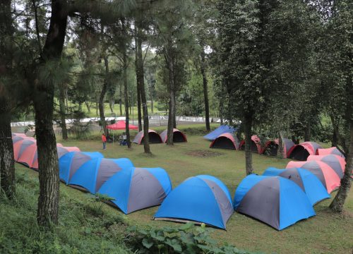 Camping Sekolah di Sentul – Petualangan Edukatif di Alam