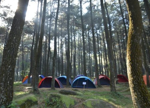 Paket Camping Gunung Pancar