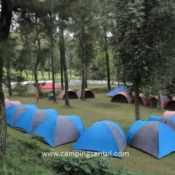 tempat camping hambalang sentul