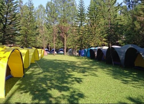 Paket Camping & LDKS Sekolah di Sentul Bogor: Fasilitas Lengkap & Aman (Mulai Rp185 Ribu)