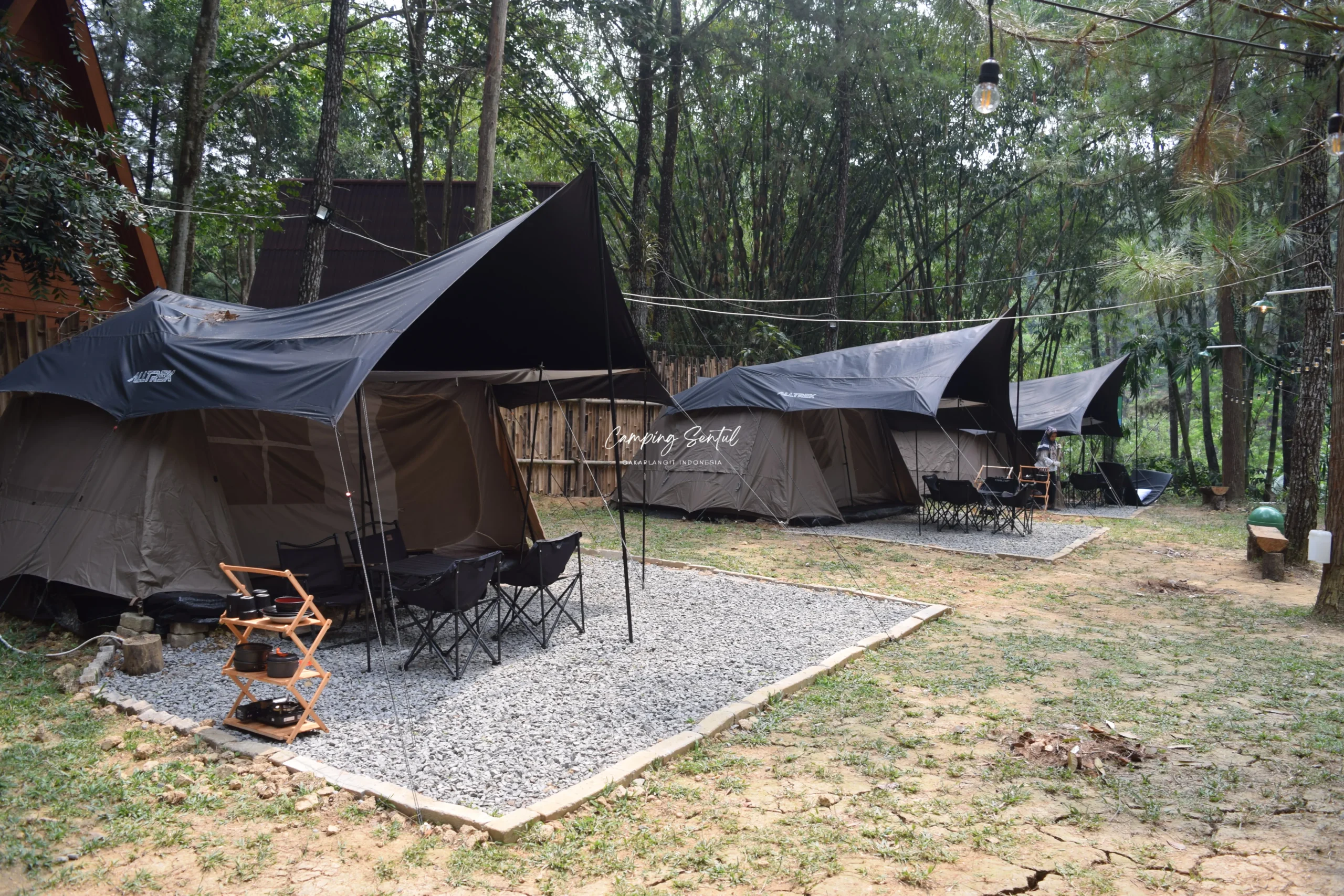 Suasana hutan pinus di Pinus Wetan Resort