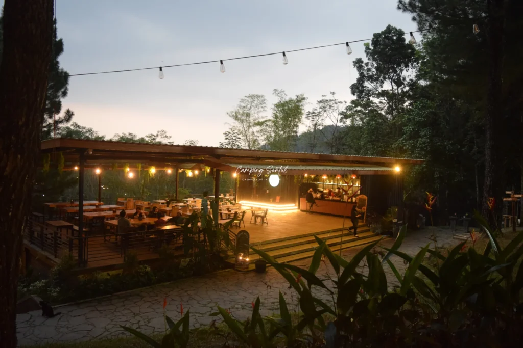 Suasana hutan pinus di Pinus Wetan Resort
