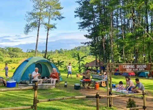 Hutan Hujan