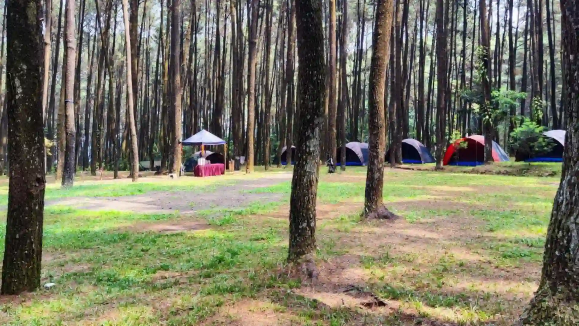 Gunung Pancar Camp Area